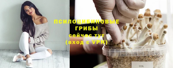 apvp Лиски