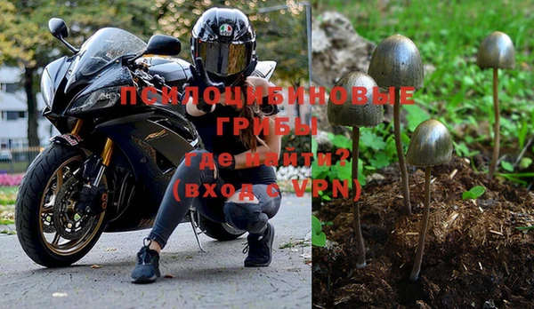 apvp Лиски