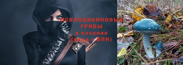 apvp Лиски