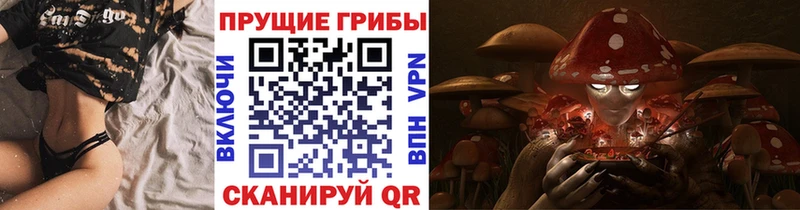 Купить закладки  Шагонар  Псилоцибиновые грибы Psilocybine cubensis 