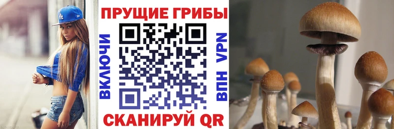 Галлюциногенные грибы Magic Shrooms Шагонар