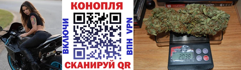 Купить  Шагонар  Бошки марихуана VHQ 